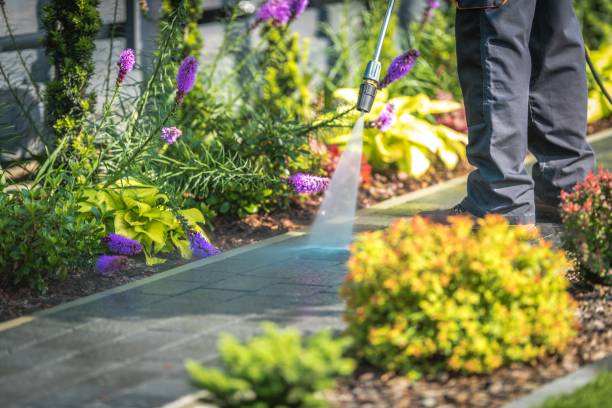 Trusted Greenfield, IN Pressure Washing Services Experts